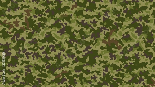 Fotografie Abstract Military Camouflage Pattern Background in Green and Brown with Rugged A