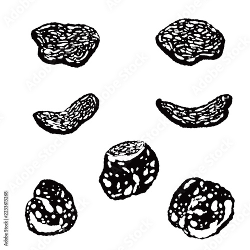 White Truffle Mushroom Variation Set Monochrome Hand Drawn Vector Illustration
