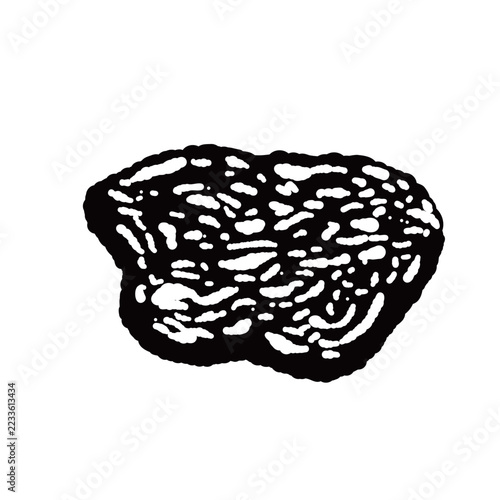 Single Large Sliced White Truffle Monochrome Hand Drawn Illustration