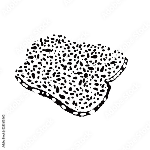 Single Large Sliced Black Truffle Monochrome Hand Drawn Illustration