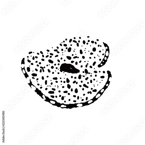 Single Thin Sliced Black Truffle Monochrome Hand Drawn Illustration