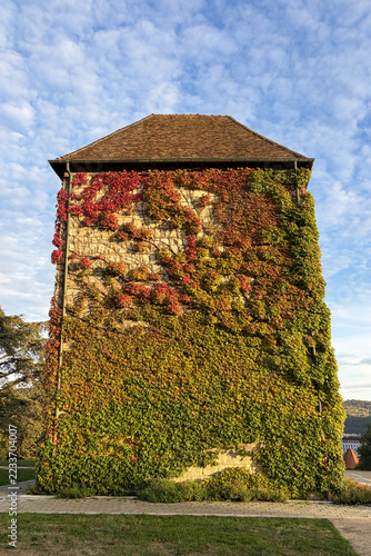 Vieille tour couverte de lierre