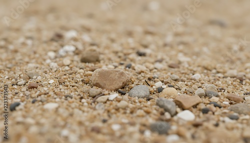 Closeup of a textured sandy beach surface with various small pebbles and stones scattered across the ground in soft natural daylight