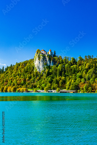 Bled Castle on a Rocky Cliff in Slovenia – Medieval Castle Above Lake Bled and Alpine Forest