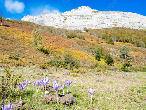 Wild flowers and  mountauns in Boue hut trail, France
