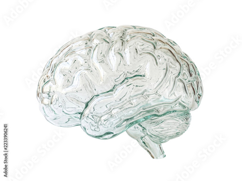 Obraz na plátně Translucent Glass Brain Render on a transparent background