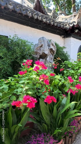 Yuyuan Garden, Shanghai, China, Asia - Bougainvillea Courtyard