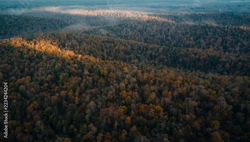 Misty Autumn Forest Landscape with Green Hills, Colorful Falling Leaves, Scenic Mountain Valley, Wooden Trees, and Open Sky in Nature's Seasonal Cycle