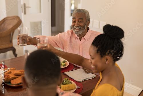 Family toasting glasses water