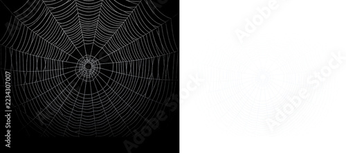 Obraz na plátně Spider Web Fan, white spider web semicircular fan shape isolated on transparent