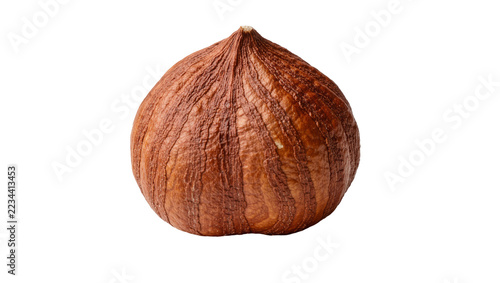 Obraz na plátně Single raw whole hazelnut with brown textured skin