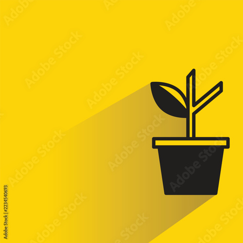 tree houseplant pot icon with shadow yellow background