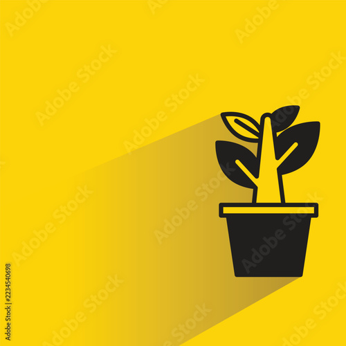 tree houseplant pot icon with shadow yellow background