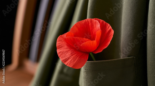 Red poppy flower placed in a green coat pocket on a wooden background  