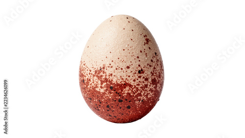 Fotografie Speckled brown and beige bird egg with textured shell surface
