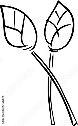Lotus Bud Pair Doodle Icon