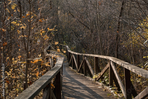 Photography Cross braced timber railings frame curving autumn walkway in Losiny Ostrov