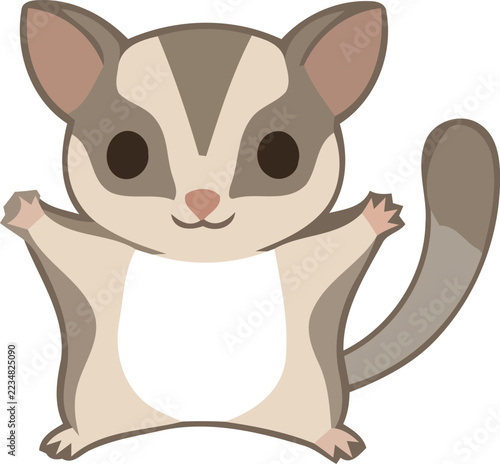 Cute Cartoon Sugar Glider Animal 