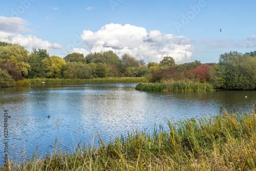 Autumn Lake with Reeds and Colourful Trees