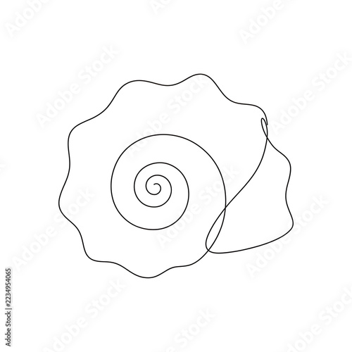 Single Line Art Seashell Minimalist Vector Illustration