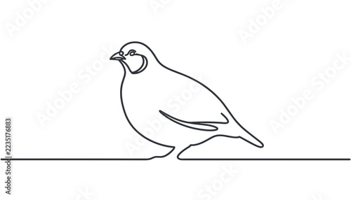 Continuous line art sketch of a cute little quail bird standing on isolated white background in minimalist style.