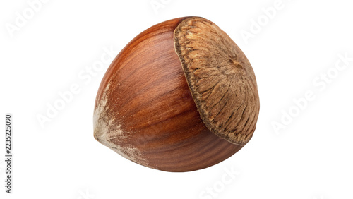Fotografie Single whole raw natural brown hazelnut filbert nut seed isolated on transparent background