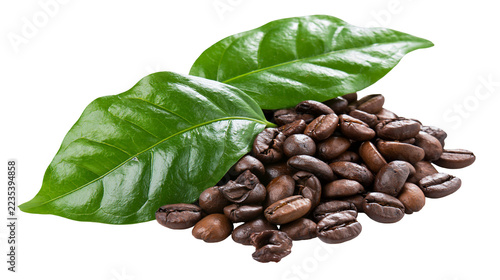 Fotografie Roasted dark brown coffee beans with fresh green coffee leaves