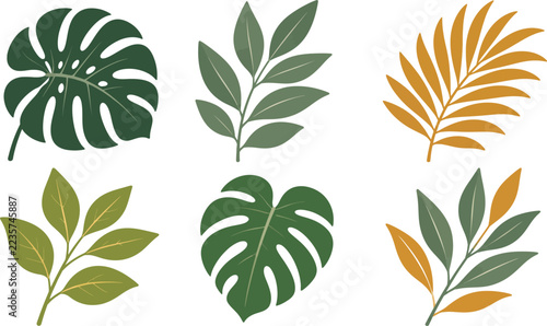 Tropical Leaves and Botanical Foliage Set with Monstera Palm Frond and Branches Vector Illustration, Exotic Jungle Greenery and Nature Concept