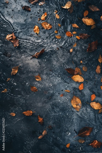 Fallen Leaves on Wet Autumn Surface