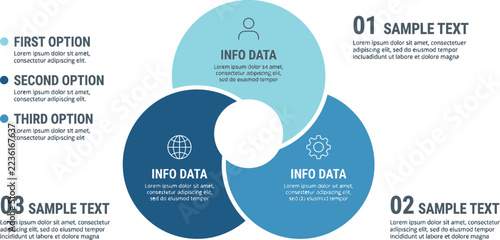 Infographic showing three overlapping circles for business data and process flow presentation