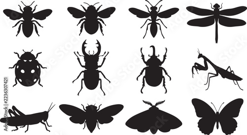 Set of twelve black insect silhouettes featuring various beetles and flying bugs on white background