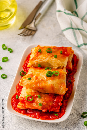 Delicious stuffed cabbage rolls served with tomato sauce