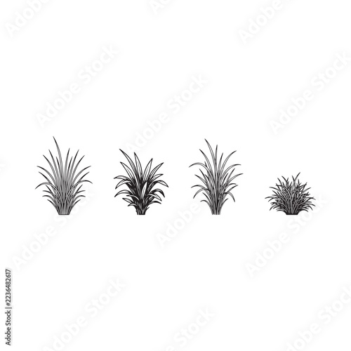 Four grass tufts depicted as black silhouettes on a white background