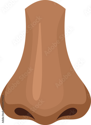 Close-up illustration of a human nose isolated on white background representing scent and smell for medical or beauty concepts.