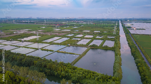 Aerial view of aquaculture ponds and wetlands in Hangzhou, China with distant city skyline