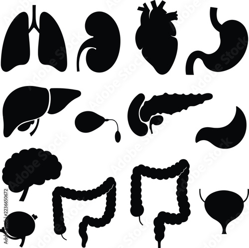 Black human internal organ silhouettes, vector medical set, lungs, heart, liver, stomach, brain, kidney, intestines, illustration icons