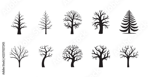 Winter leafless deciduous and evergreen tree silhouettes for seasonal landscape graphic projects.