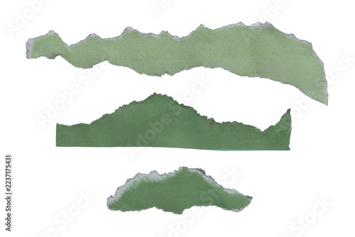 Green torn paper strips with ripped white deckle edges isolated on transparent background