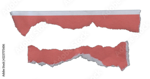 Coral red torn paper strips with ripped white edges isolated on transparent background