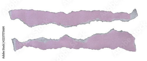 Lilac purple torn paper strips with ripped white deckle edges isolated on transparent background