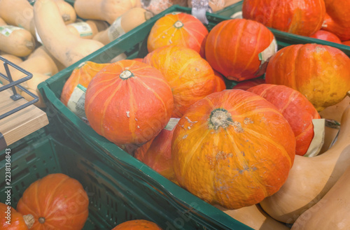 Pumpkins and squash sit in produce bins on store shelves as shoppers prepare for Halloween